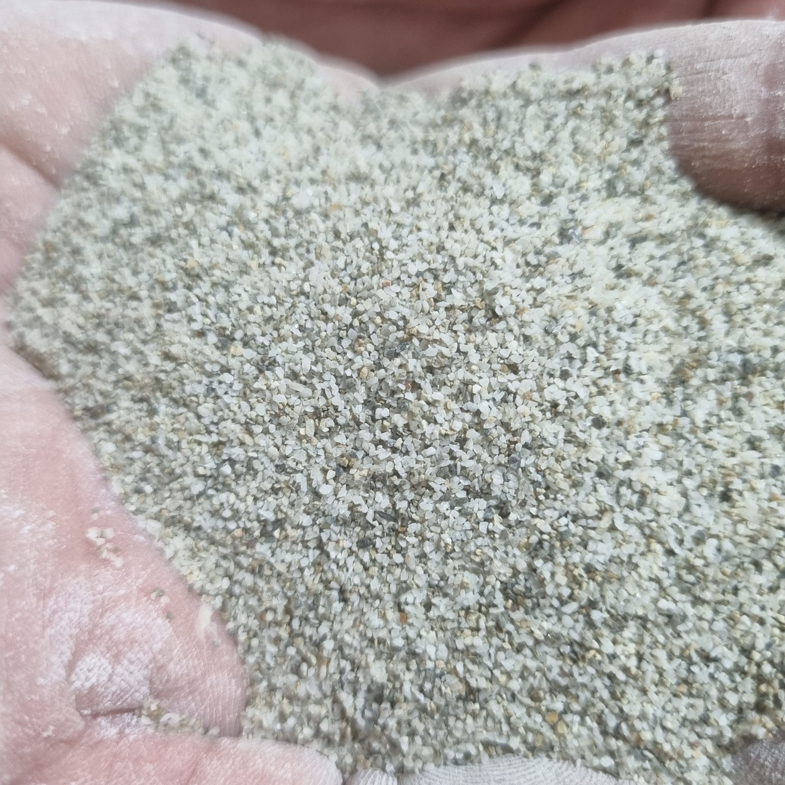 سیلیس